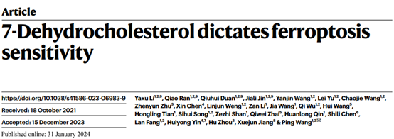 重大突破！Nature背靠背揭示铁死亡新机制，有望治疗多种疾病