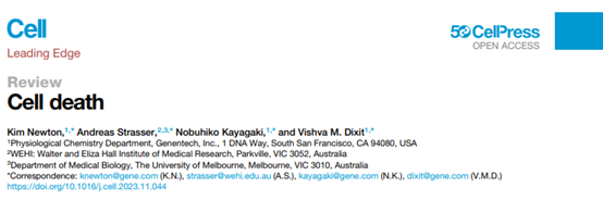 一文带你读懂热点“细胞死亡”！