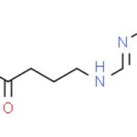 4-胍基丁酸