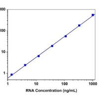 Amplite 荧光法L-抗坏血酸检测试剂盒