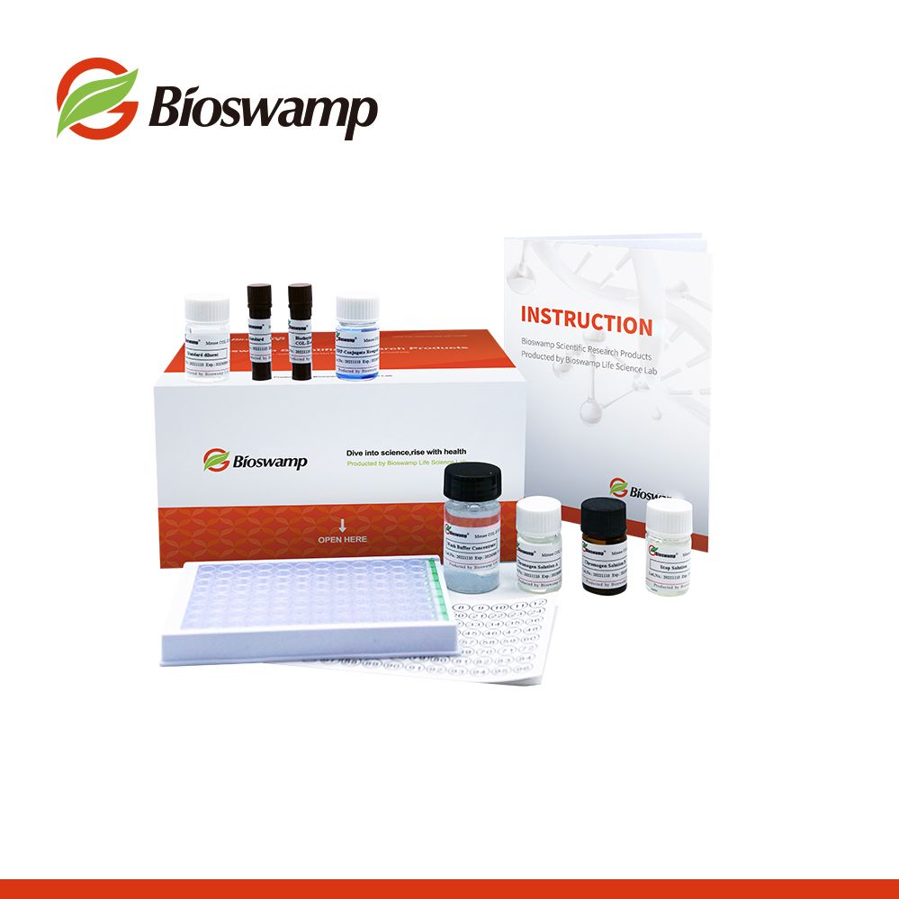 武汉贝茵莱（Bioswamp）抗体产品、重组蛋白、ELISA试剂盒、流式抗体...