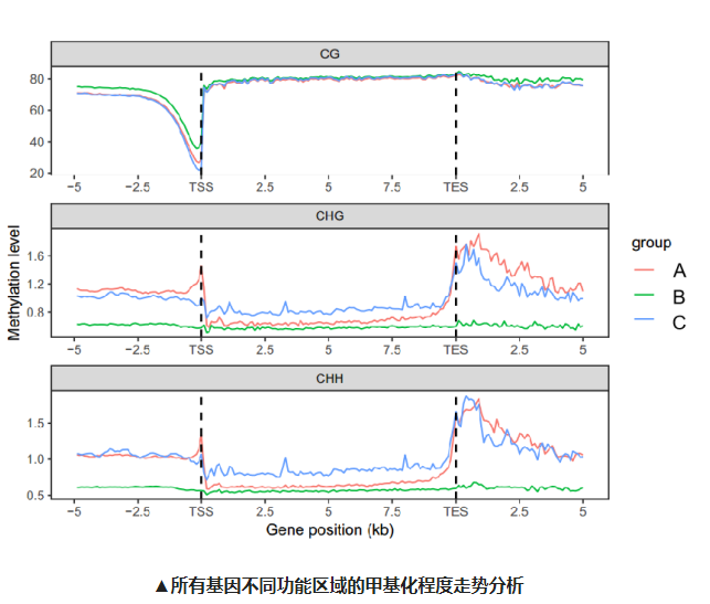 单细胞全基因组甲基化测序（scWGBS）