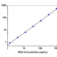 Amplite 比色法B酮酸检测试剂盒
