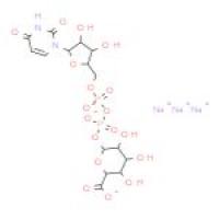 尿苷二磷酸葡糖醛酸