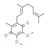 辅酶 Q2