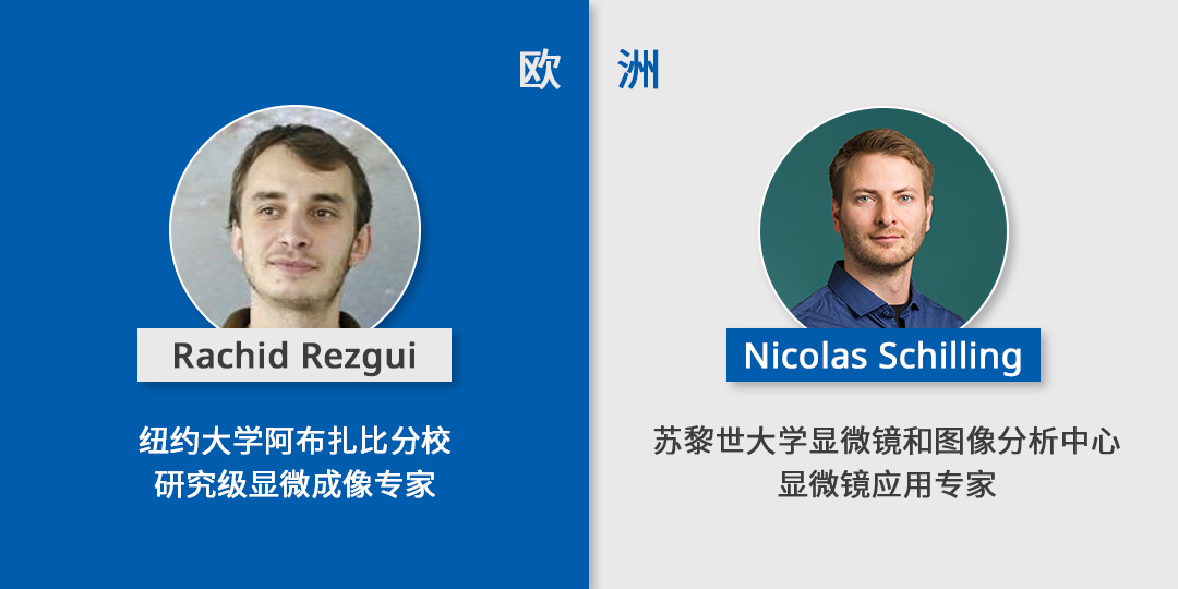 参赛即有奖！EVIDENT第五届全球显微图像大赛瞩目盛启！