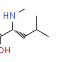 N-甲基-L-亮氨酸盐酸盐