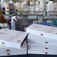 人肽酶D(PEPD)酶联免疫试剂盒