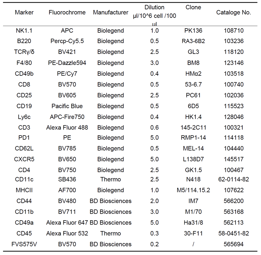 构建人源化小鼠模型，重现干扰素治疗慢性乙肝过程