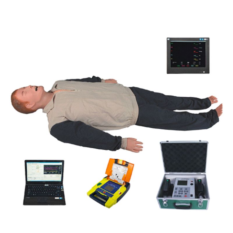 艾米立 综合急救模拟人系统（不含电脑）IMY2001
