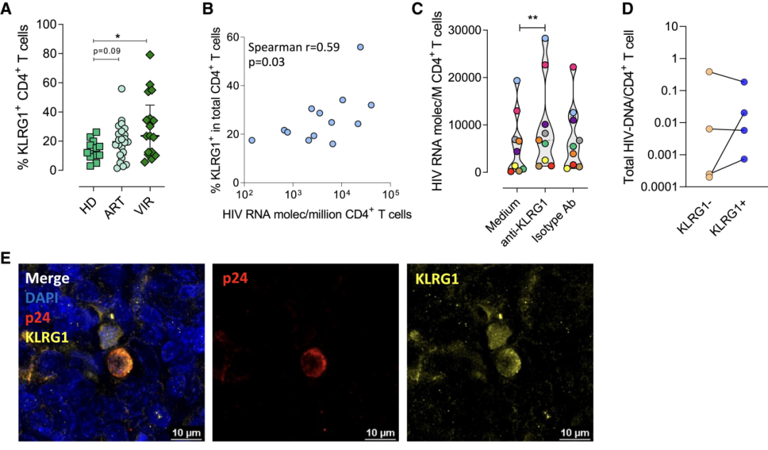 “激活并杀死”靶向疗法，天然杀手NK细胞有望消灭潜伏期HIV