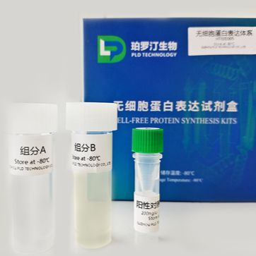 PLD无细胞蛋白表达试剂盒（标准版）