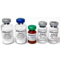 PhotoAlginate®，甲基丙烯酸酯海藻酸盐，200 毫克，含 Irgacure 套件-PhotoAlginate®, Methacrylated Alginate, 200 mg with Irgacure Kit