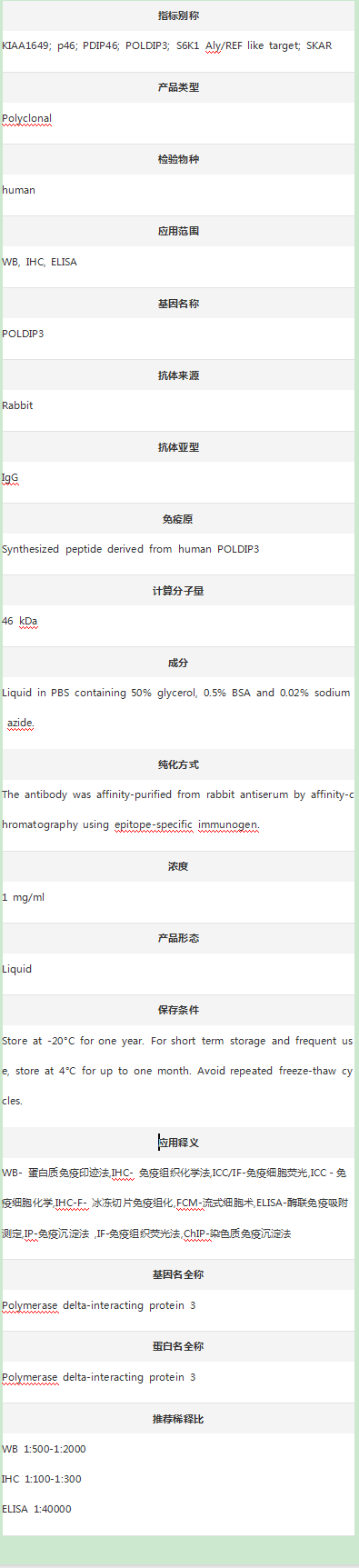 Anti-POLDIP3 Antibody