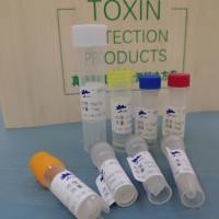 抗猪急性腹泻综合征冠状病毒(SADS-COV)单克隆抗体