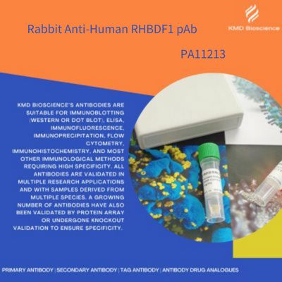 Rabbit Anti-Human RHBDF1 pAb|兔抗人RHBDF1多克隆抗体
