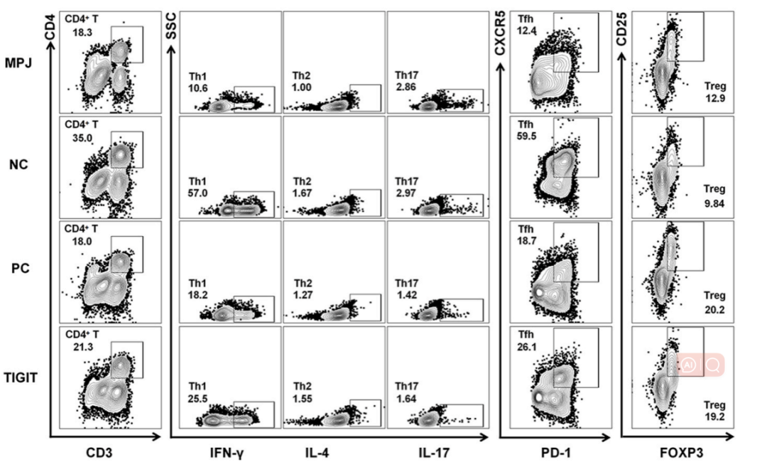 不能彻底治愈的红斑狼疮，免疫检查点治疗是否可带来新的希望？