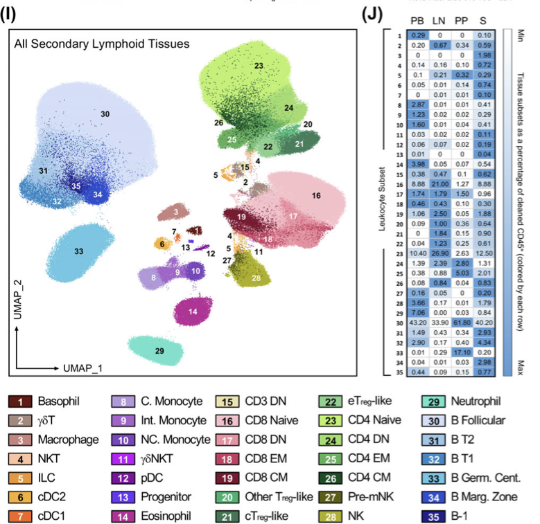 Big Panel Theory系列之——40色小鼠6种组织高维分析方案
