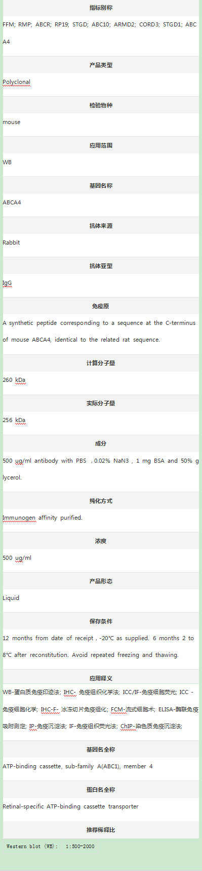 Anti-ABCA4 Antibody