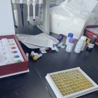 苦杏仁苷  产品简介笃玛生物科技免费代测