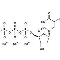 1mM Biotin-11-dUTP溶液