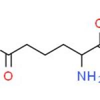 2-氨基己二酸水合物