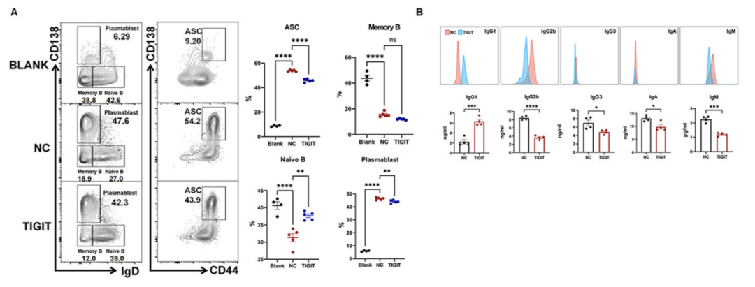 不能彻底治愈的红斑狼疮，免疫检查点治疗是否可带来新的希望？