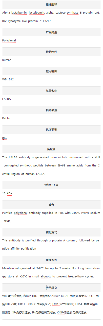 Anti-LALBA Antibody (Center)