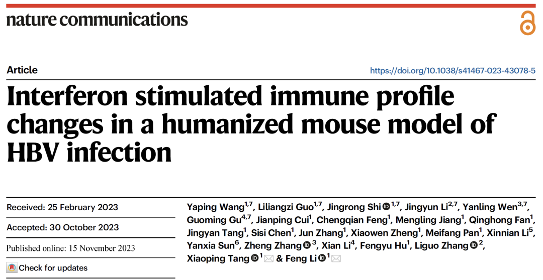 构建人源化小鼠模型，重现干扰素治疗慢性乙肝过程