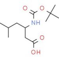 3-BOC氨基-5甲基己酸