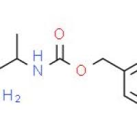 2-(CBZ-氨基)丙酰胺
