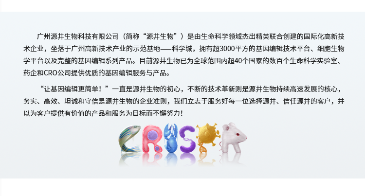 新闻图片10