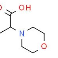 4-吗啉丁酸盐酸盐