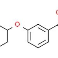 3-环己氧基苯甲酸