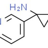 1-吡啶-3-基环丙基胺
