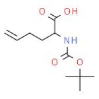 2-(叔丁氧羰基氨基)-5-己烯酸