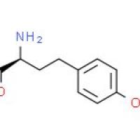 (S)-2-氨基-4-(4-羟基苯基)丁酸