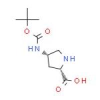 (4S)-4-[[(1,1-二甲基乙氧基)羰基]氨基] -L-脯氨酸