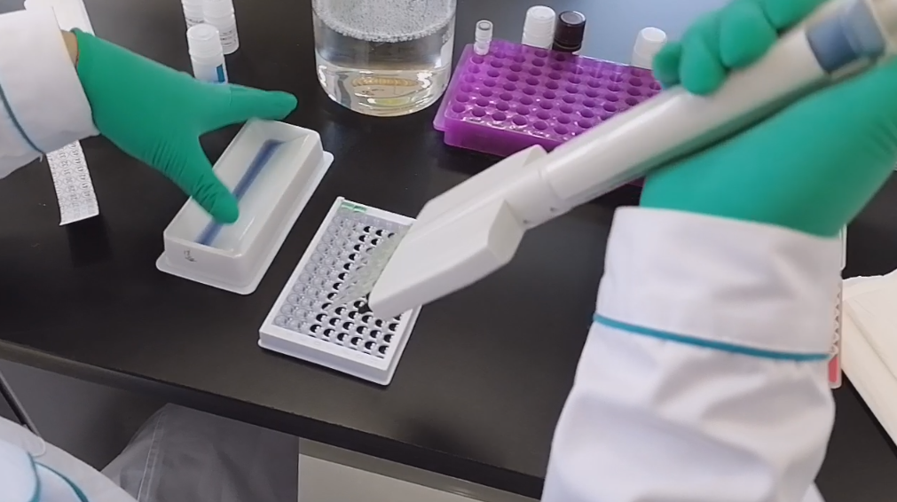 本生带您洞察：ELISA试剂盒—高特异性与灵敏度操作局限性