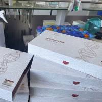 人Bcl-2相关蛋白A1(BCL2A1)ELISA试剂盒