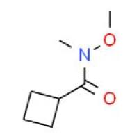 N-甲氧基-N-甲基环丁酰胺