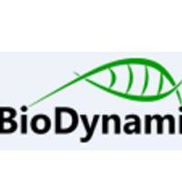 dsDNA Quantification Broad Range Kit (for microplate reader)