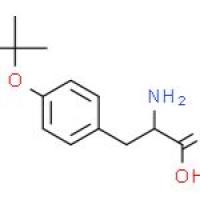 O-叔丁基-D-酪氨酸