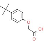 4-叔-丁基苯氧基乙酸