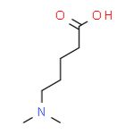 5-(二甲氨基)戊酸