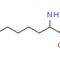 (R)-2-氨基辛酸