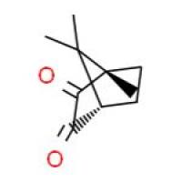 DL-樟脑醌