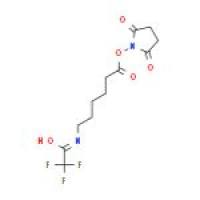 N-[Ε-三氟乙酰氨基己酸]琥珀酰亚胺酯