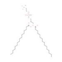 二棕榈酰磷脂酰胆碱