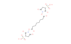 双琥珀酰亚胺辛二酸酯钠盐